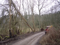  Another weekend, and a couple of leaning dead elms to remove